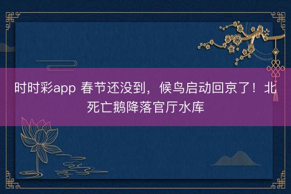 時時彩app 春節還沒到，候鳥啟動回京了！北死亡鵝降落官廳水庫