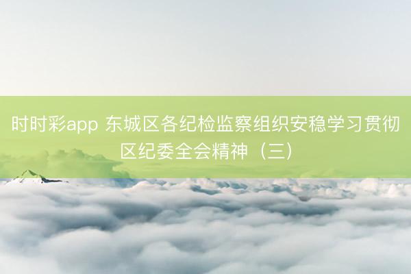 時時彩app 東城區各紀檢監察組織安穩學習貫徹區紀委全會精神（三）