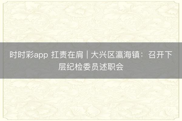 時時彩app 扛責(zé)在肩 | 大興區(qū)瀛海鎮(zhèn)：召開下層紀(jì)檢委員述職會