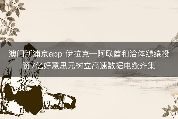 澳門新浦京app 伊拉克—阿聯(lián)酋和洽體繾綣投資7億好意思元樹(shù)立高速數(shù)據(jù)電纜齊集