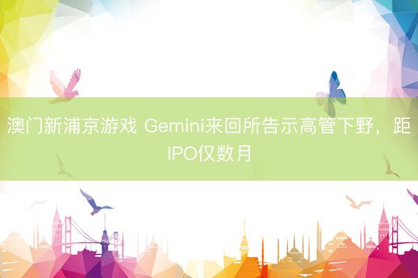 澳門新浦京游戲 Gemini來回所告示高管下野，距IPO僅數(shù)月