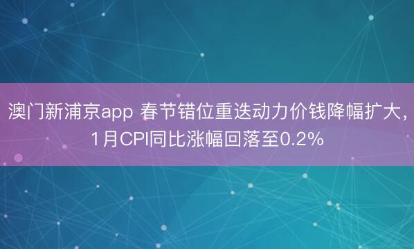 澳門新浦京app 春節錯位重迭動力價錢降幅擴大，1月CPI同比漲幅回落至0.2%