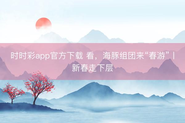 時(shí)時(shí)彩app官方下載 看，海豚組團(tuán)來(lái)“春游”丨新春走下層